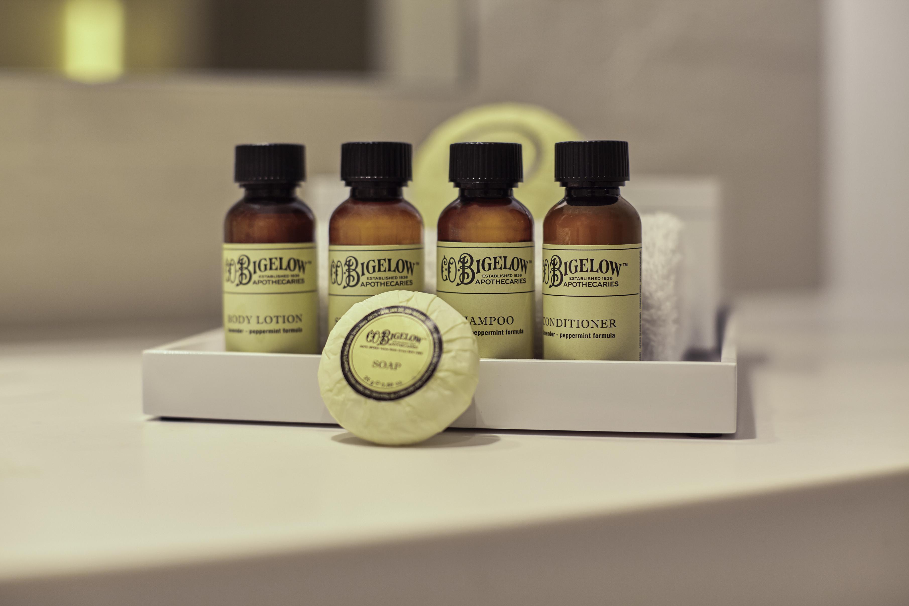 Hotel Pullman Paris Cdg Airport Roissy-en-France